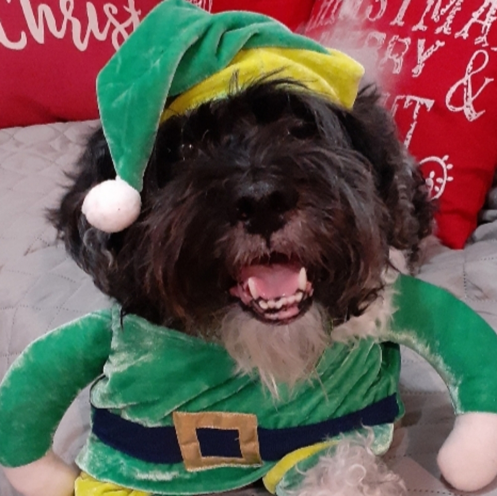 Meet your Posher, Barbara